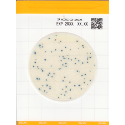 Easy Plate SA - Placi Teste Staphylococcus Aureus Rapide